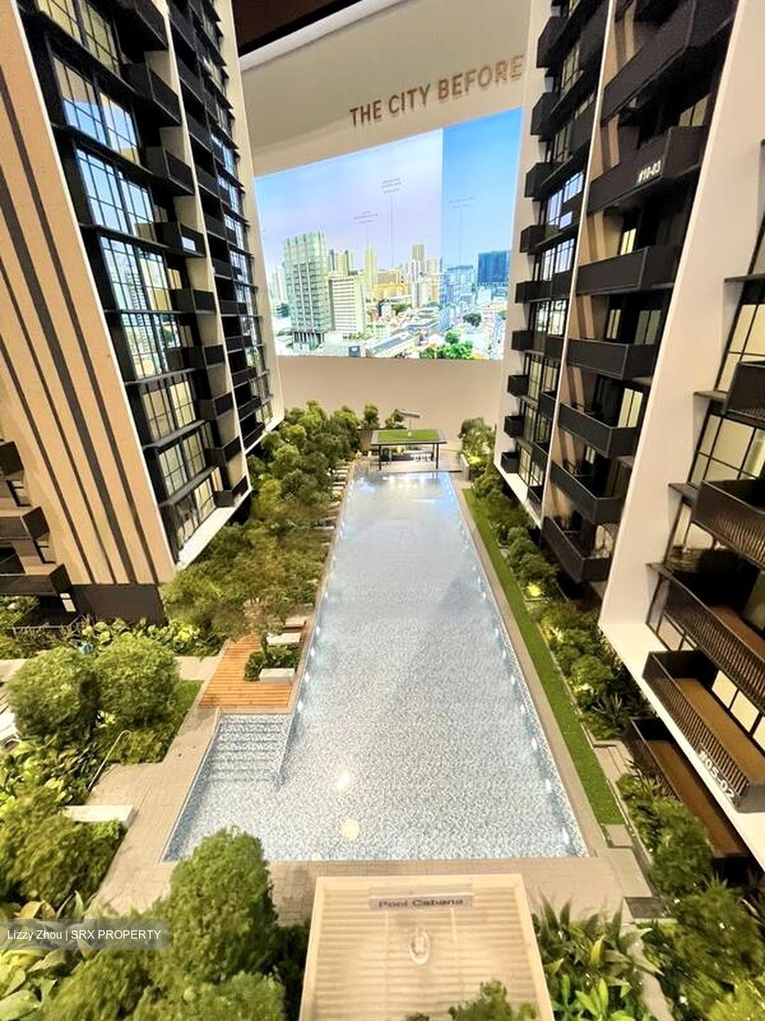 Piccadilly Grand (D8), Apartment #454306681